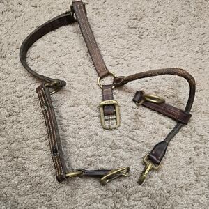 WALSH Leather Halter - BRASS Hardware - For Parts Only. Damaged
